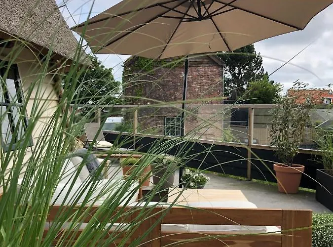 De Molen Van Egmond By Droomvilla *