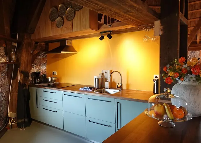 De Molen Van Egmond By Droomvilla Egmond aan den Hoef