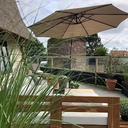 De Molen Van Egmond By Droomvilla *